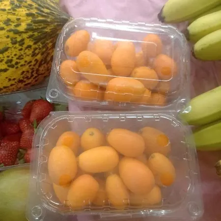 Antalya Camp Farm