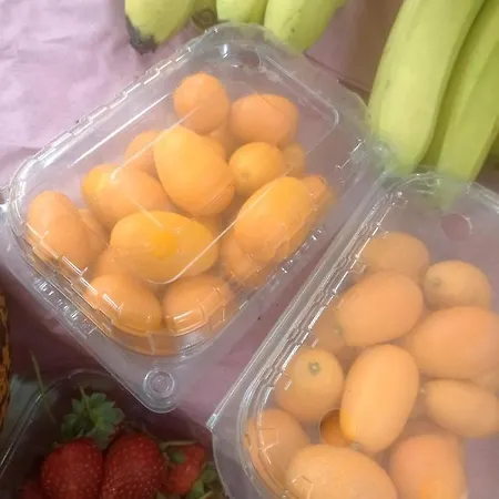 Luksusowy namiot Antalya Camp Farm