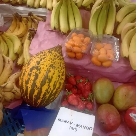 Antalya Camp Farm