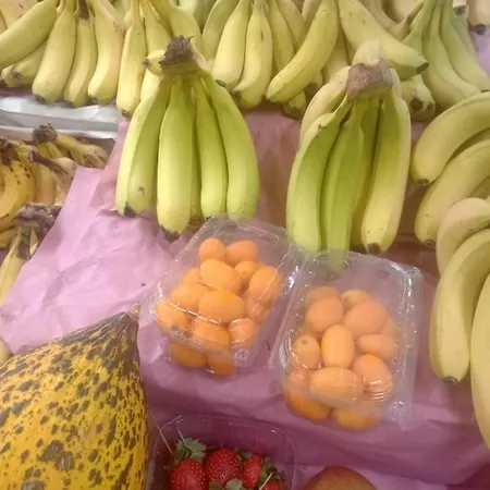 Antalya Camp Farm Geyikbayiri